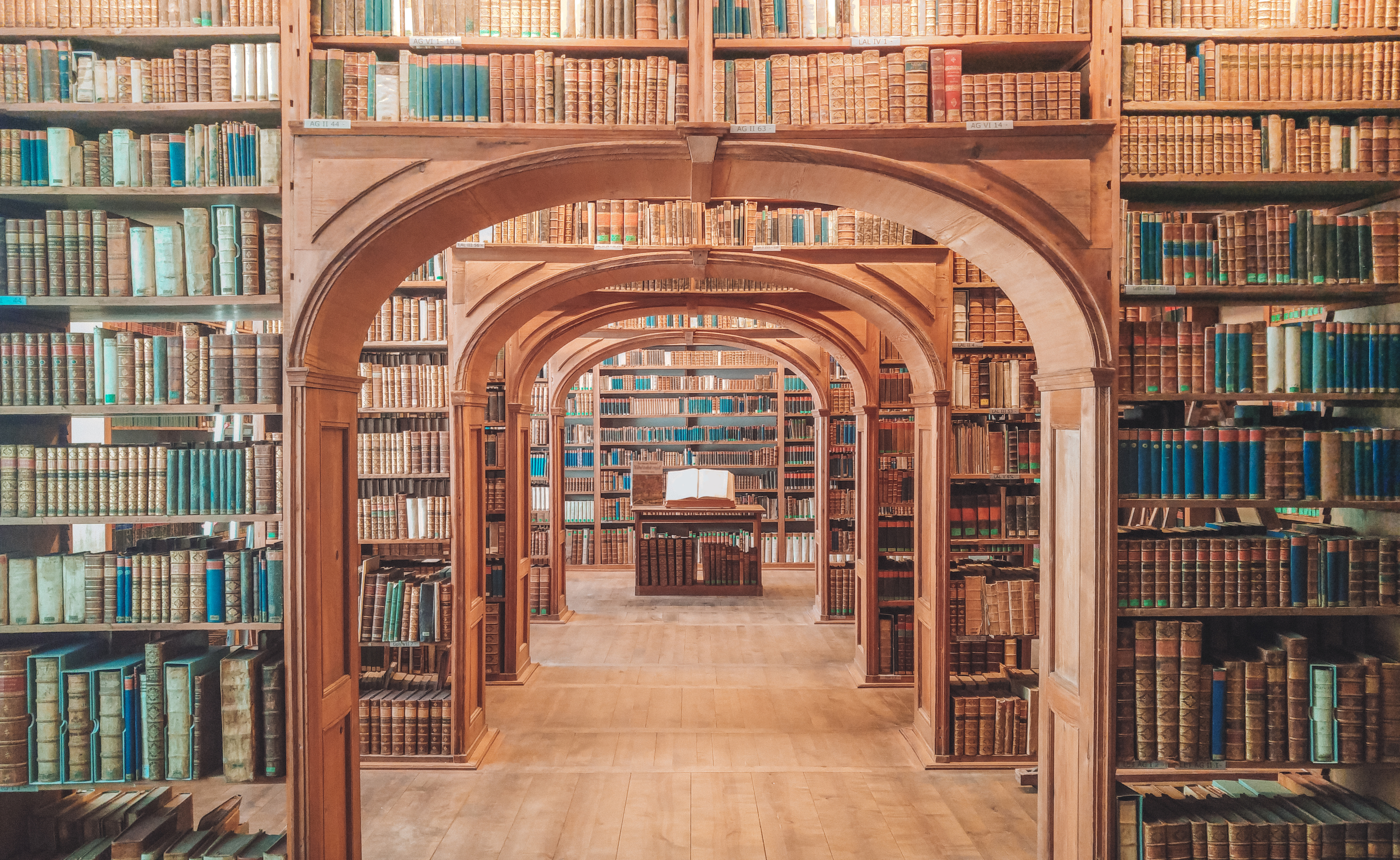 ARCHWAY OF OLD LIBRARY